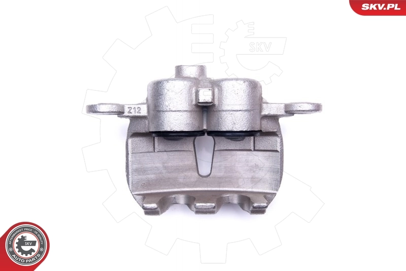 Brake Caliper 45SKV551