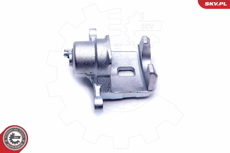 Brake Caliper 46SKV113