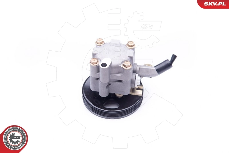 Hydraulic Pump, steering 10SKV276