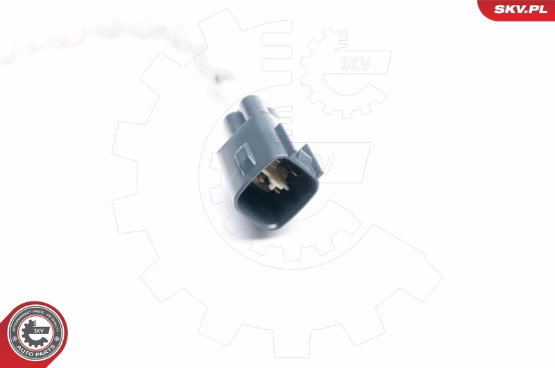 Oxygen Sensor 09SKV993