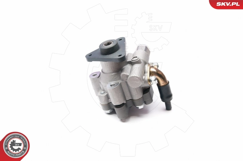 Hydraulic Pump, steering 10SKV227