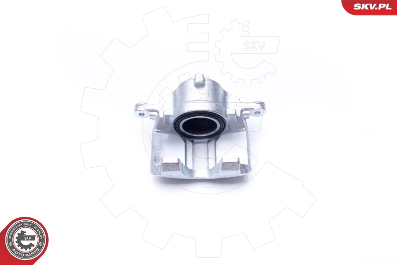 Brake Caliper 42SKV181