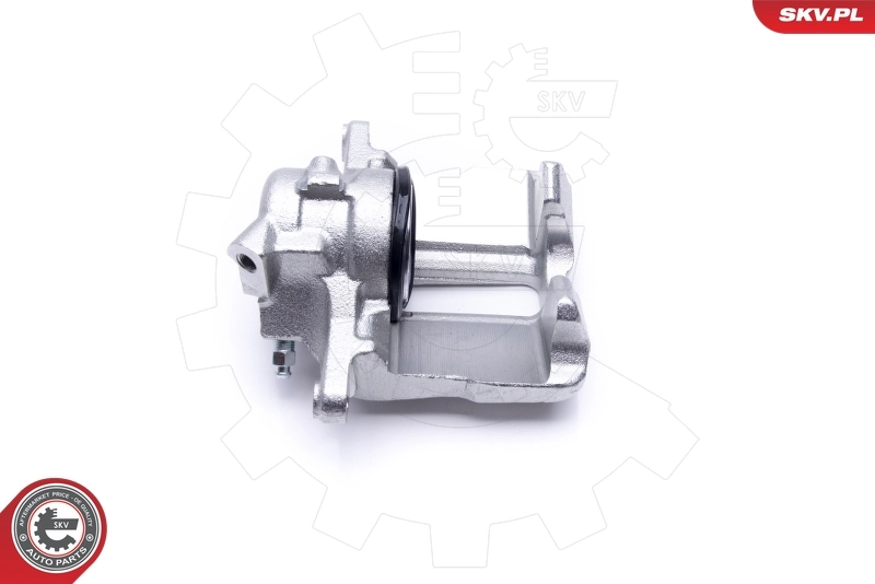 Brake Caliper 46SKV001