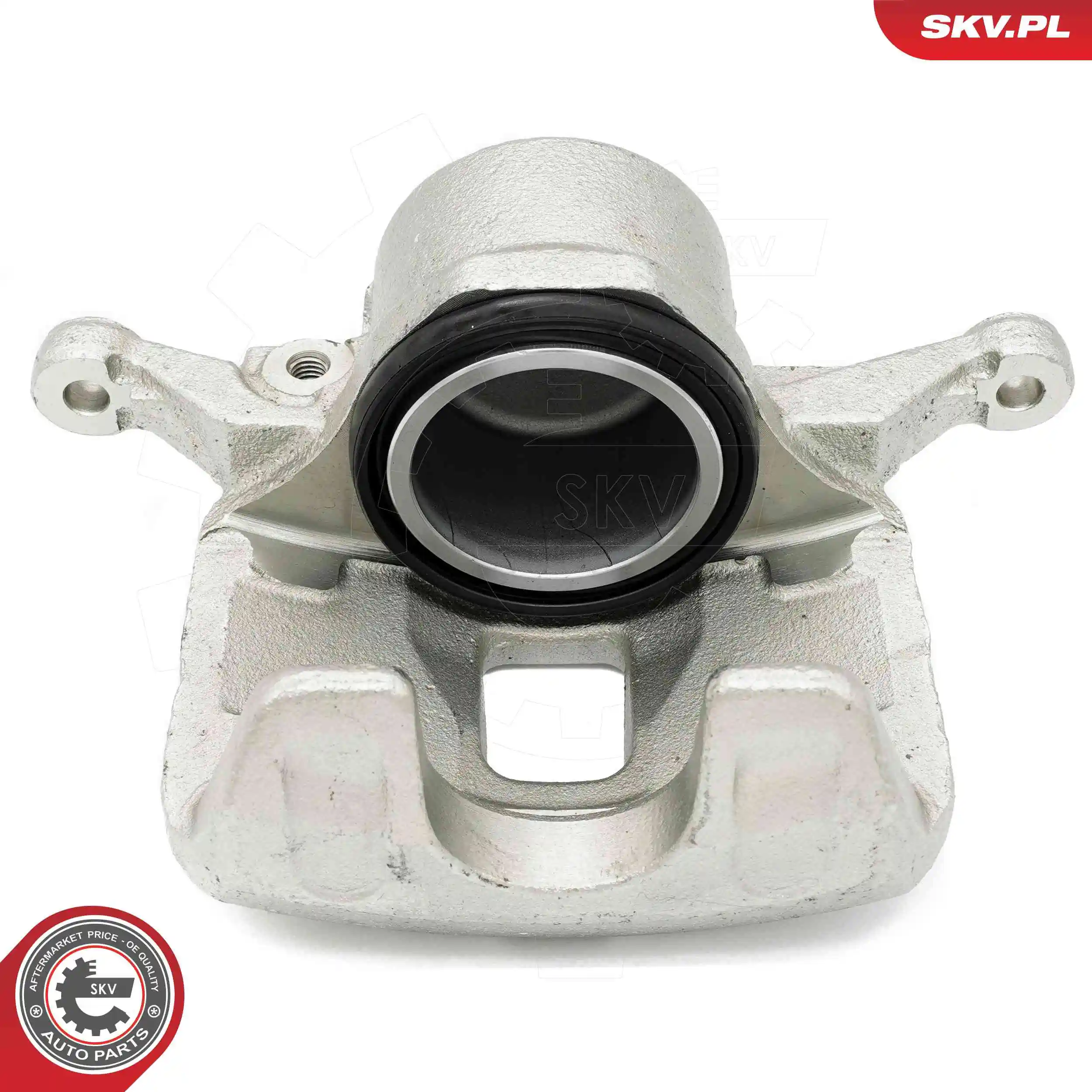 ブレーキ・キャリパー 67SKV062