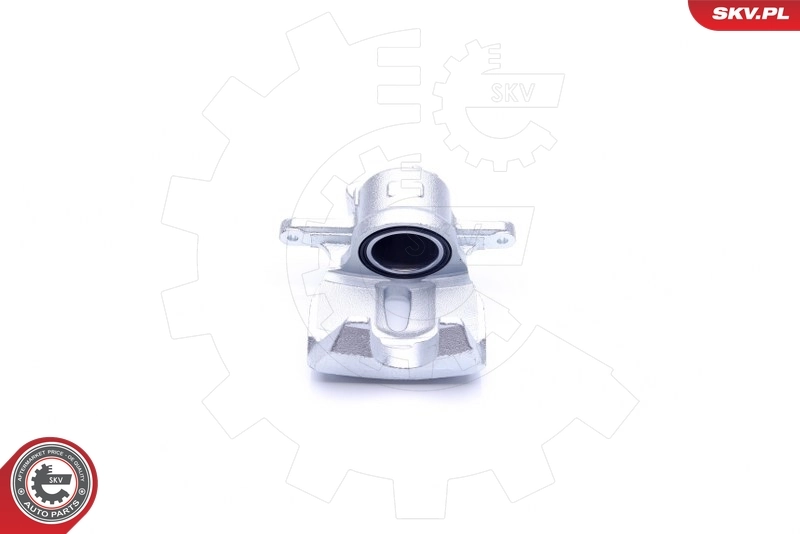 Brake Caliper 44SKV321