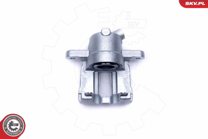 ESEN SKV 56SKV101 Brake Caliper