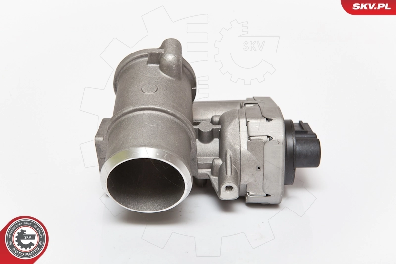 EGR Valve 14SKV084