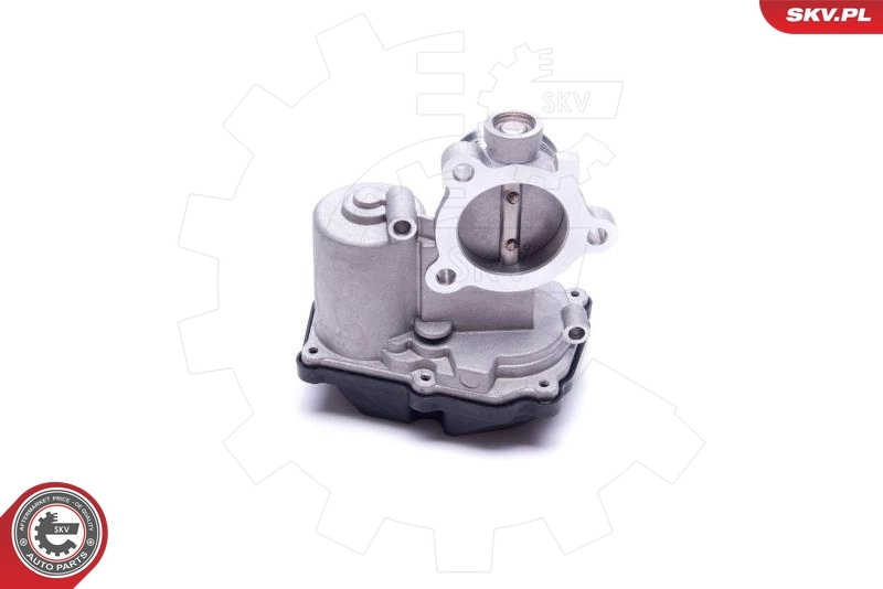 EGR Valve 14SKV232