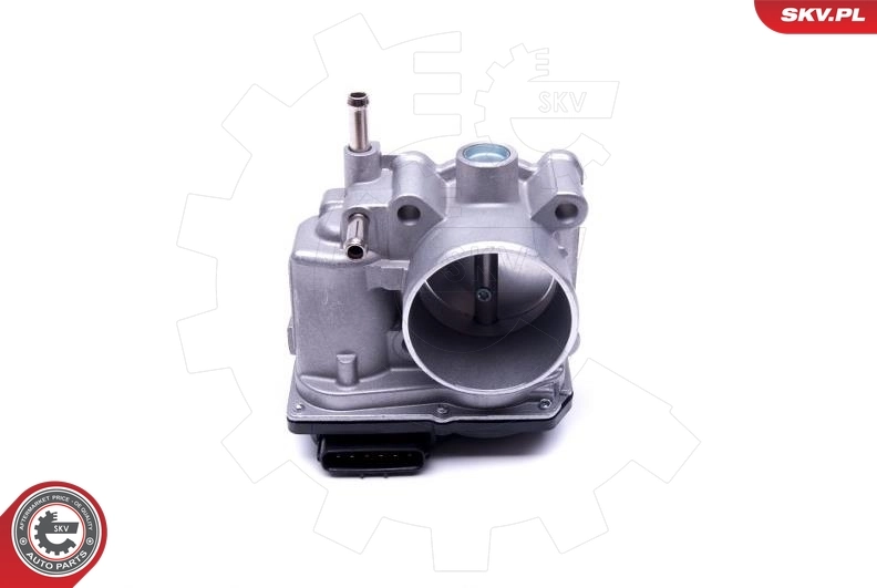 Throttle Body 12SKV089