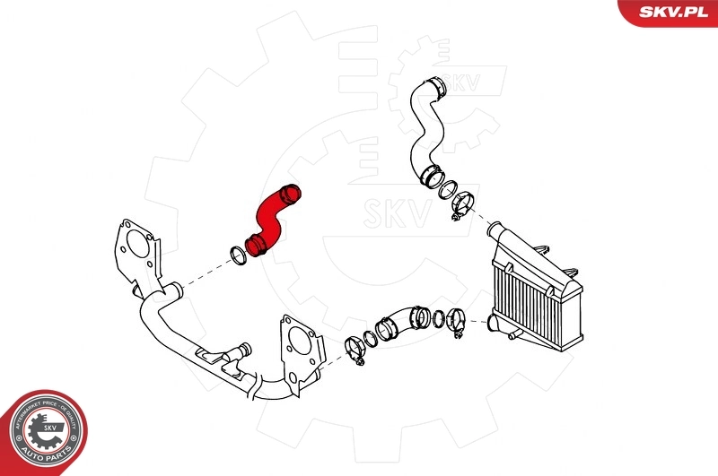 Charge Air Hose 24SKV031