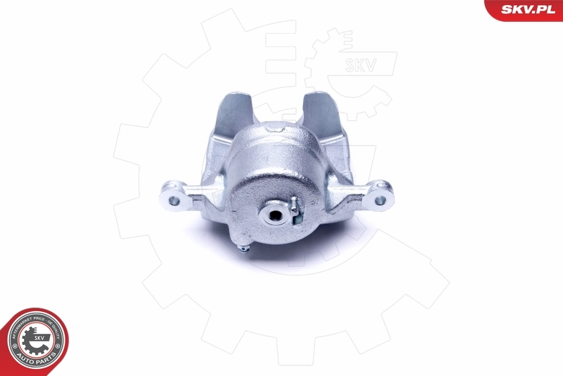 Brake Caliper 46SKV211