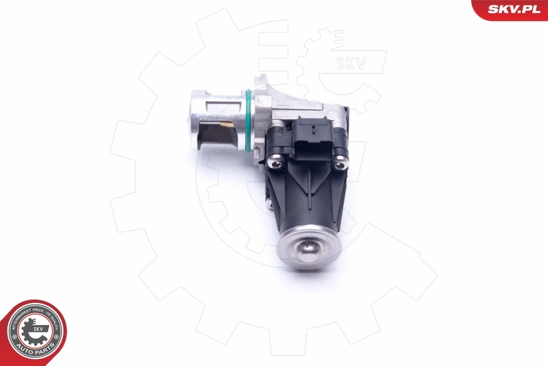 EGR Valve 14SKV185
