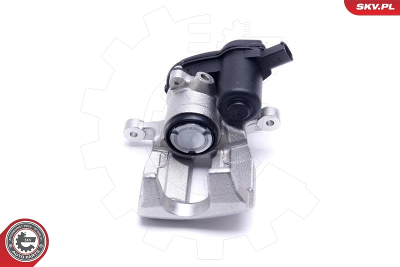 ESEN SKV 55SKV934 Brake Caliper