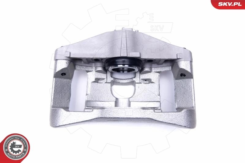 Brake Caliper 55SKV791