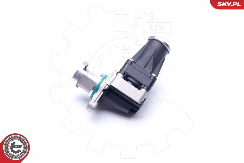 EGR Valve 14SKV185