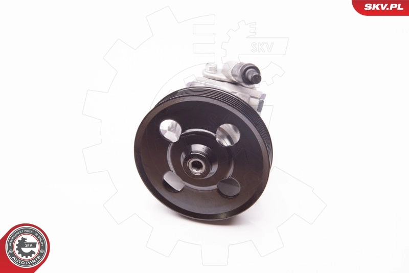 Hydraulic Pump, steering 10SKV238