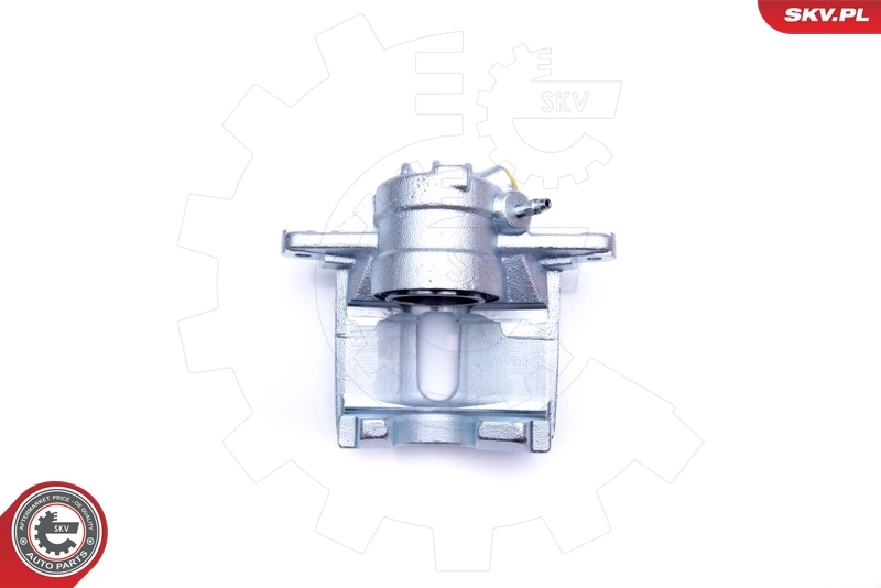 Brake Caliper 42SKV222