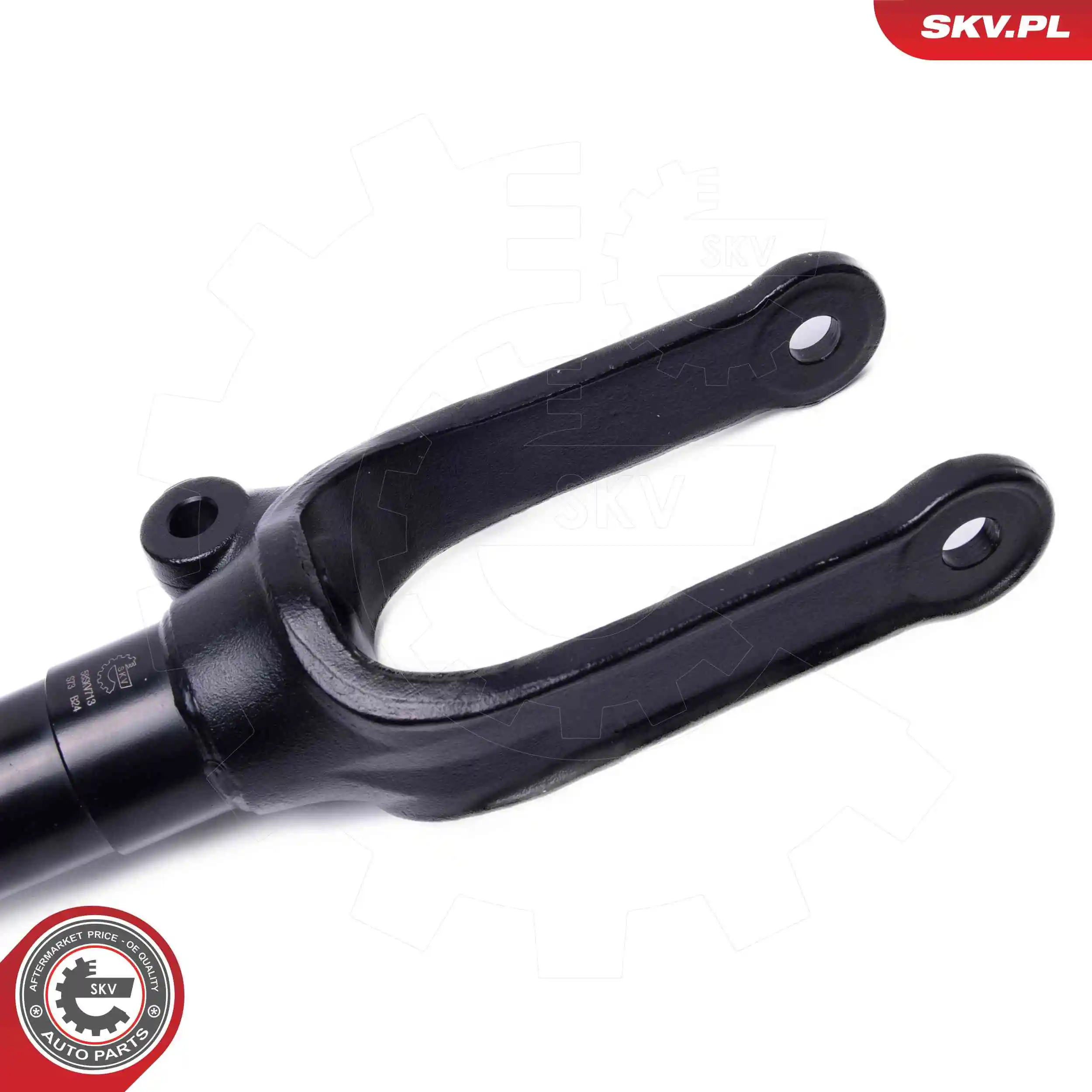 Air Suspension Strut 58SKV713