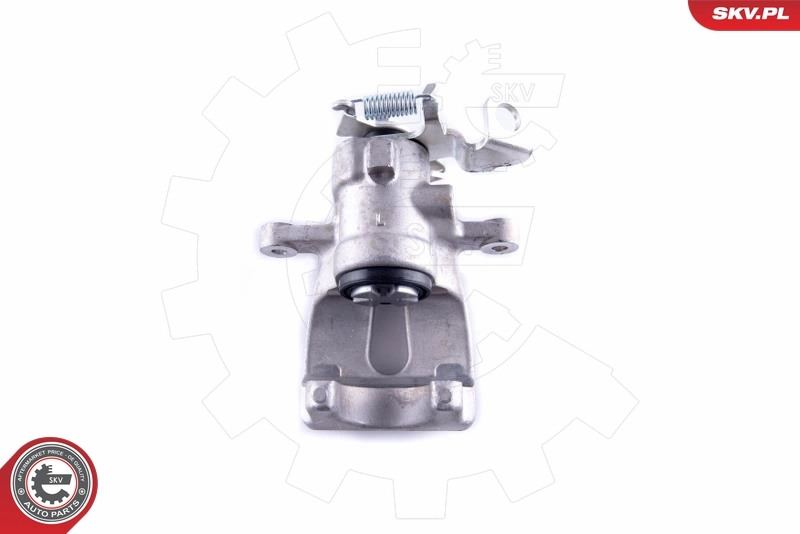 Brake Caliper 55SKV123