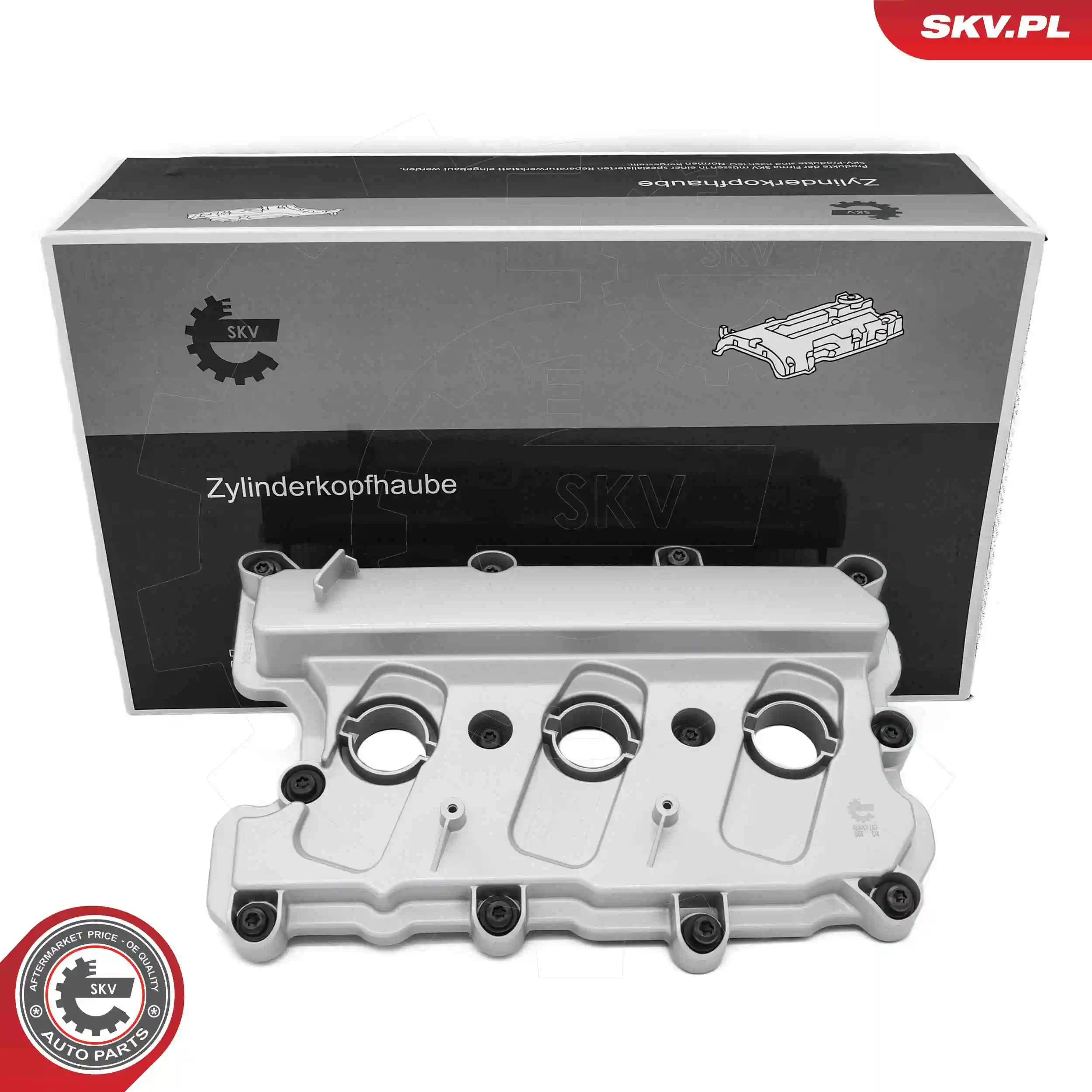 Cylinder Head Cover 48SKV163
