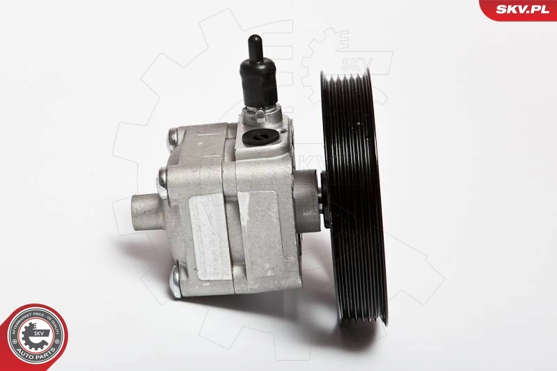Hydraulic Pump, steering 10SKV092
