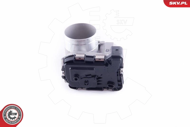 Throttle Body 12SKV100