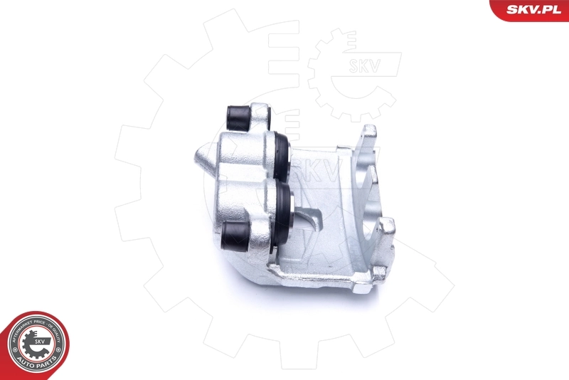 Brake Caliper 45SKV022