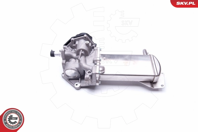 EGR Valve 14SKV151