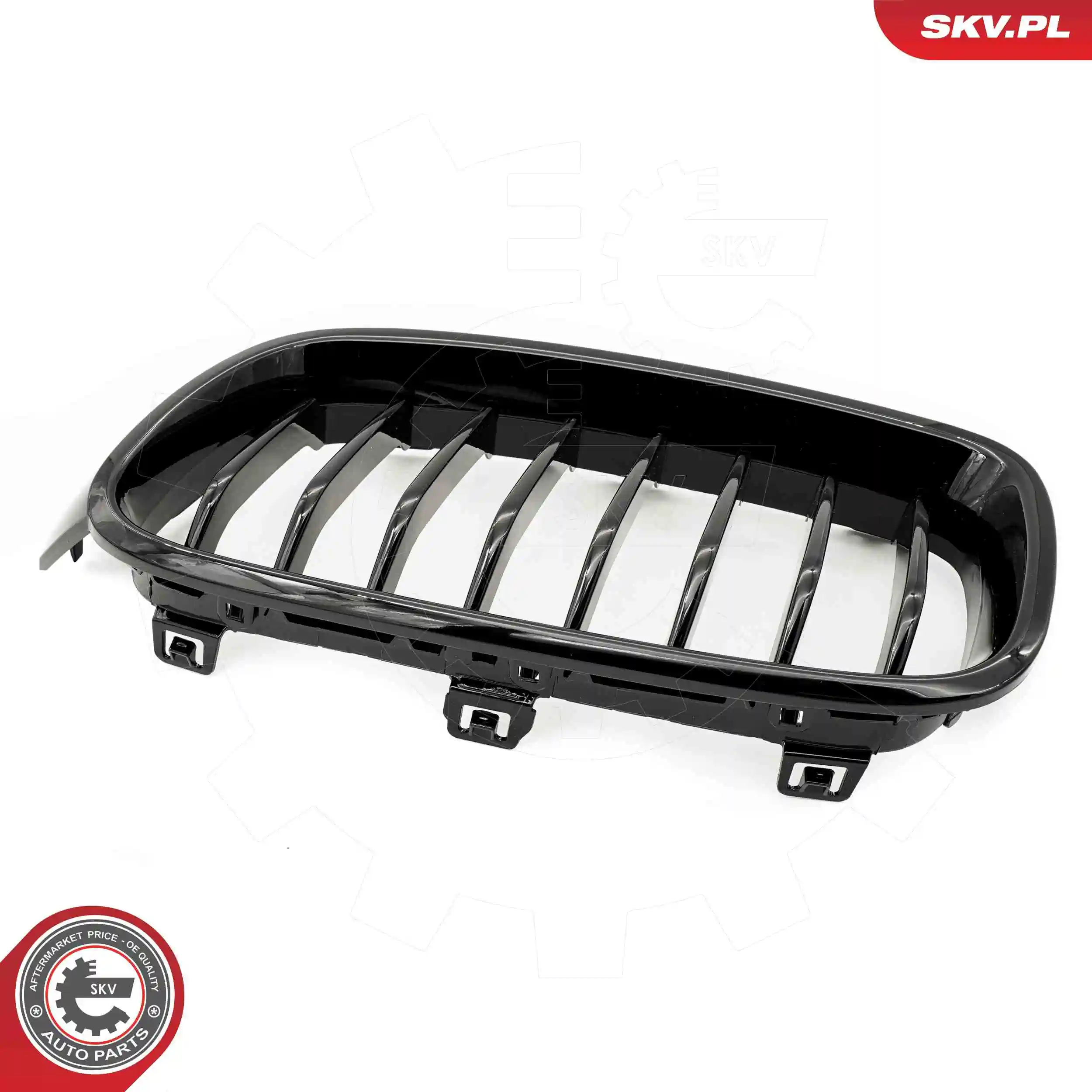 Radiator Grille 66SKV120