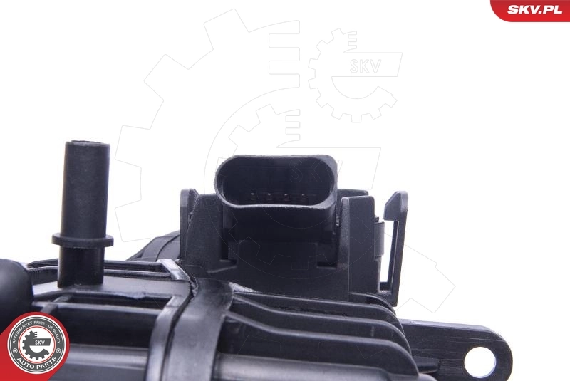 Intake Manifold Module 49SKV061