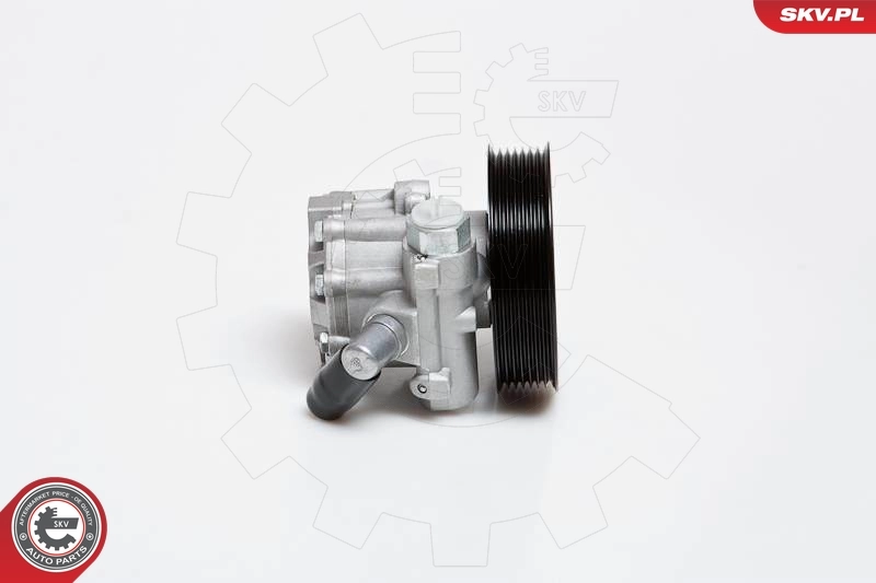 Hydraulic Pump, steering 10SKV024