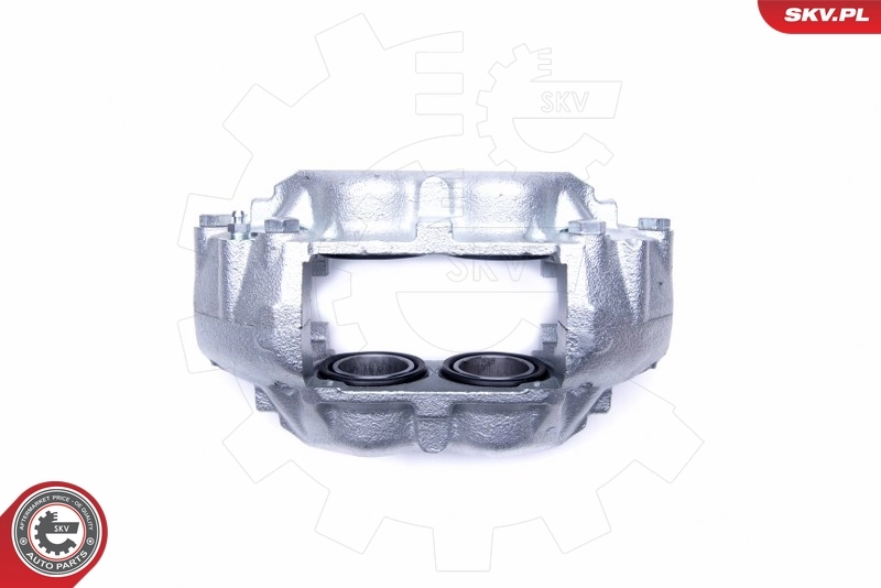Brake Caliper 45SKV231