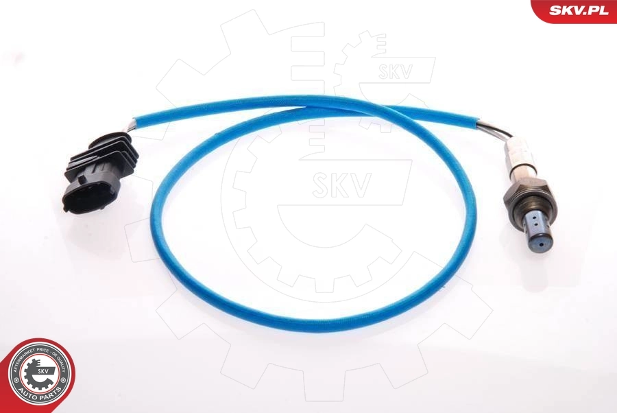 Oxygen Sensor 09SKV074
