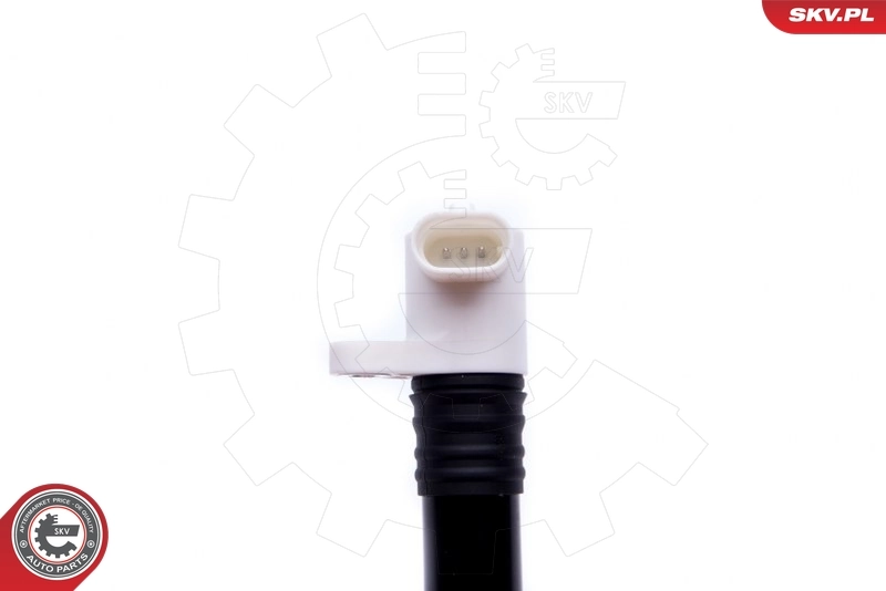 Ignition Coil 03SKV286
