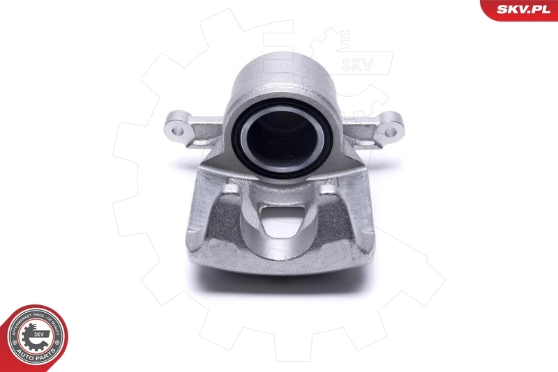 Brake Caliper 42SKV791