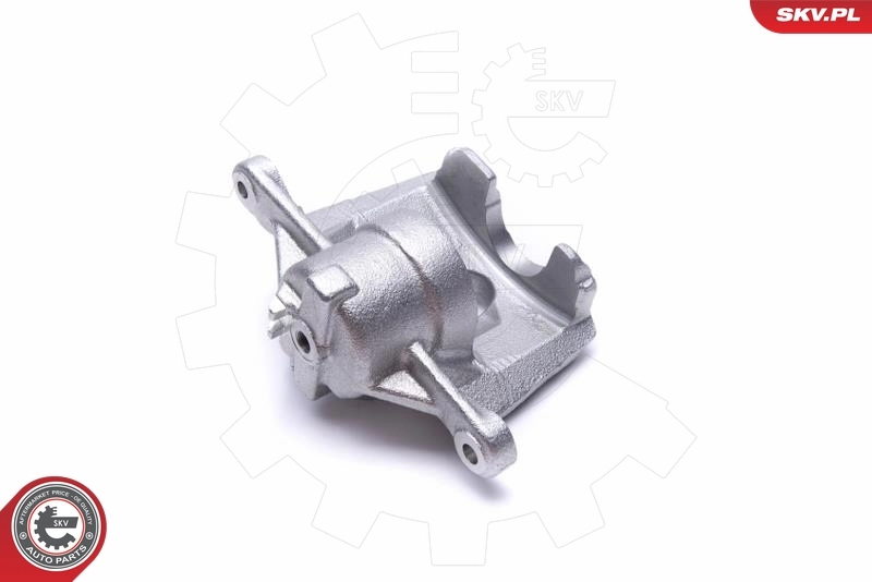Brake Caliper 56SKV002