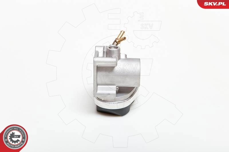 Throttle Body 12SKV028