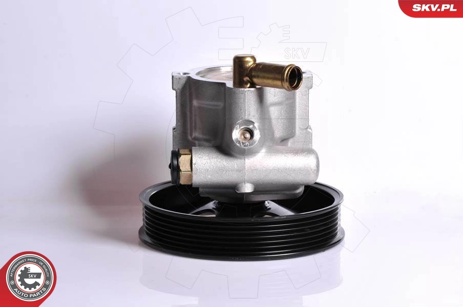 Hydraulic Pump, steering 10SKV083