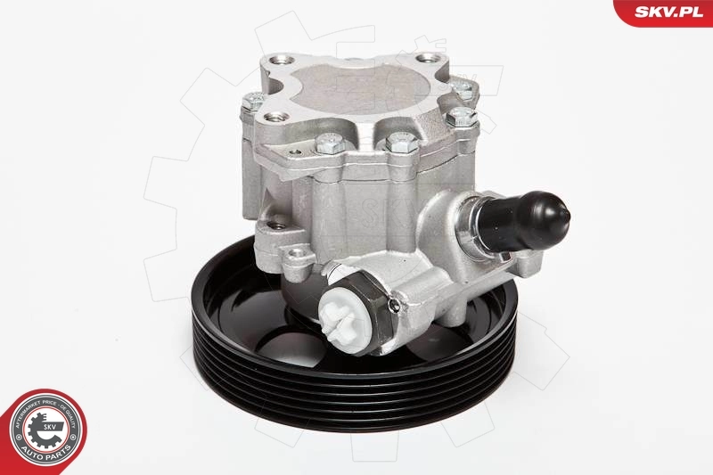 Hydraulic Pump, steering 10SKV023