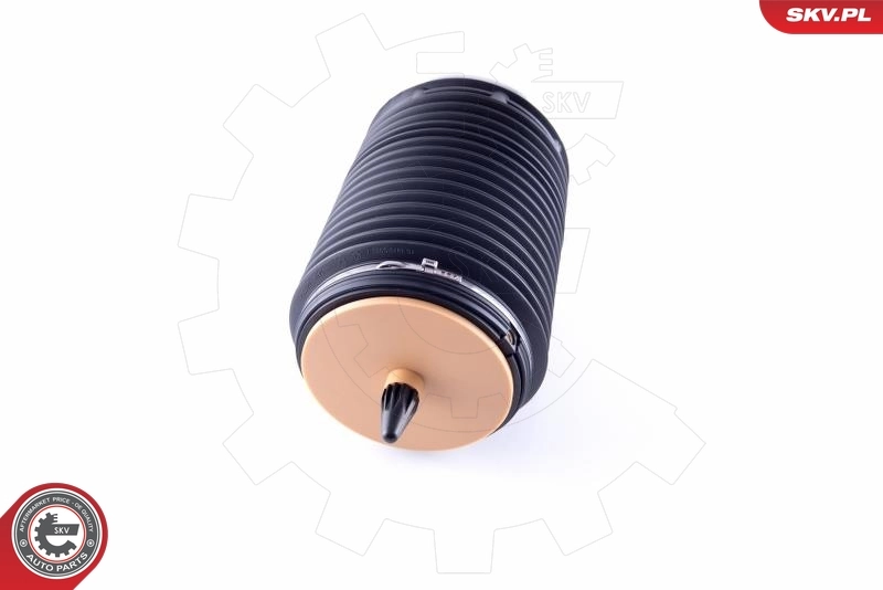 Air Spring, suspension 58SKV018