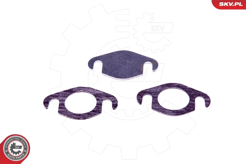 ESEN SKV 14SKV500 Repair Set, EGR valve