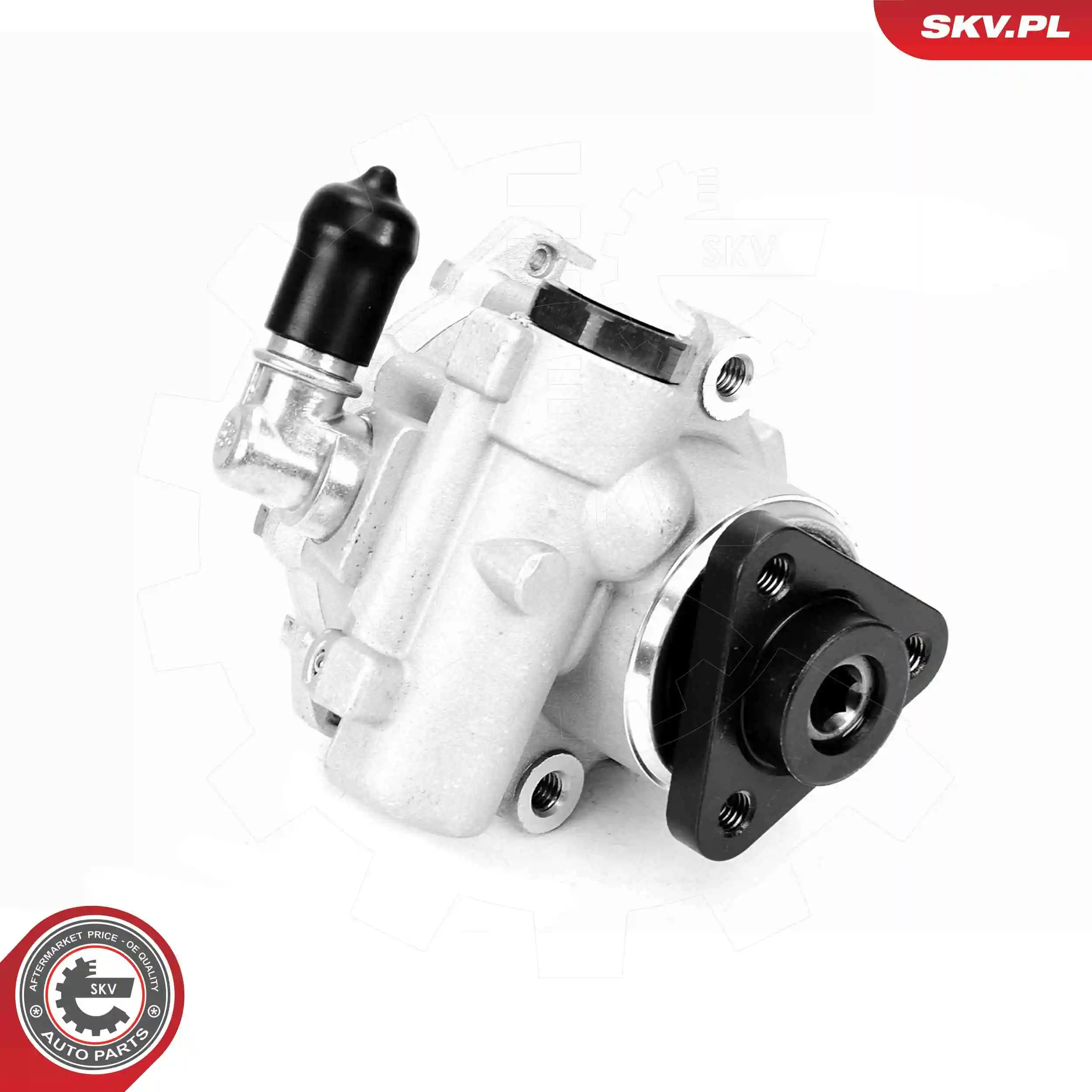 Hydraulic Pump, steering 10SKV330