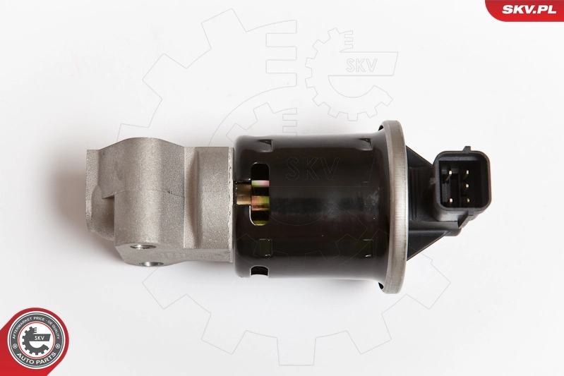 EGR Valve 14SKV053