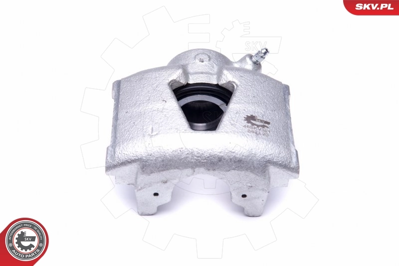 Brake Caliper 46SKV381