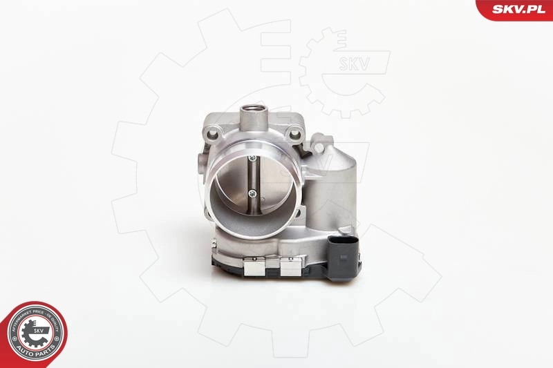 Throttle Body 12SKV039