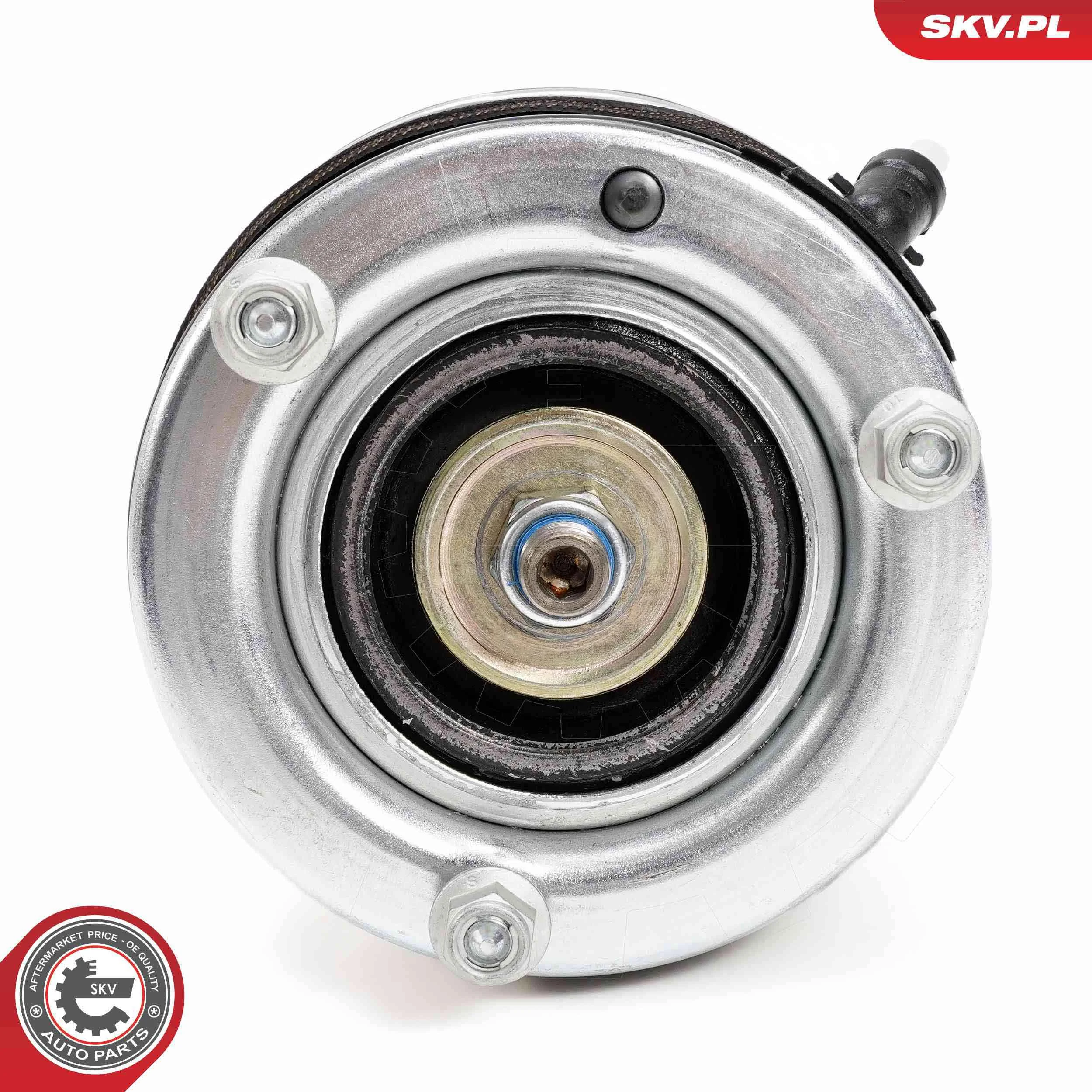 Air Suspension Strut 58SKV710