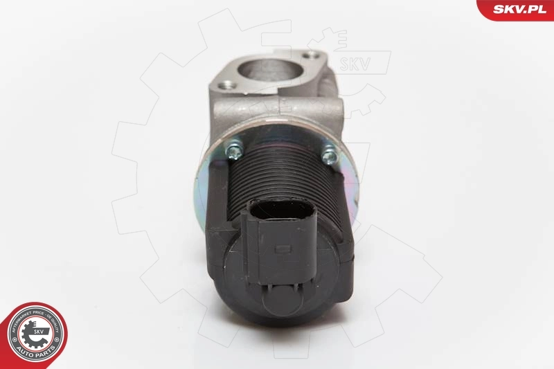 EGR Valve 14SKV055