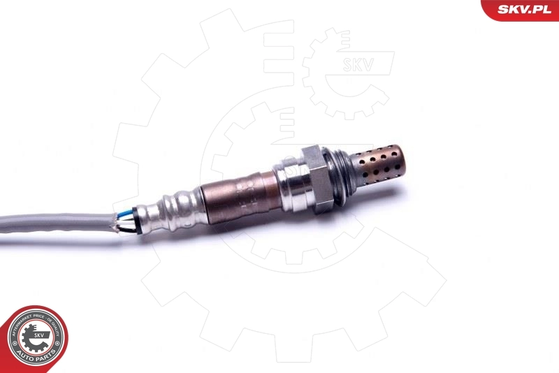 Lambdasonde 09SKV118