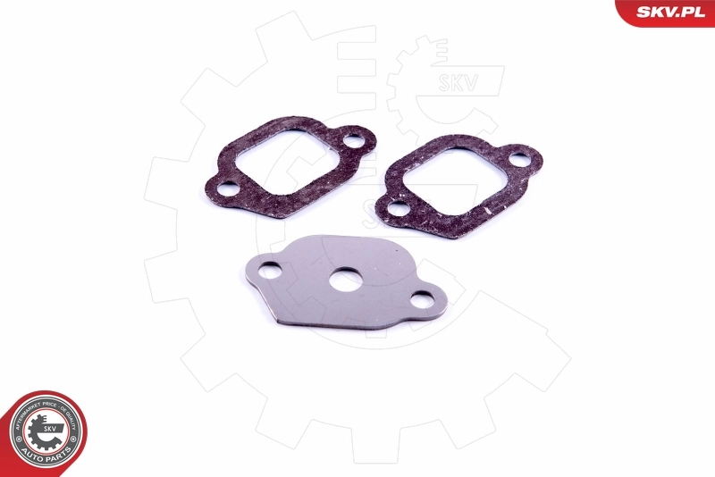 ESEN SKV 14SKV552 Repair Set, EGR valve