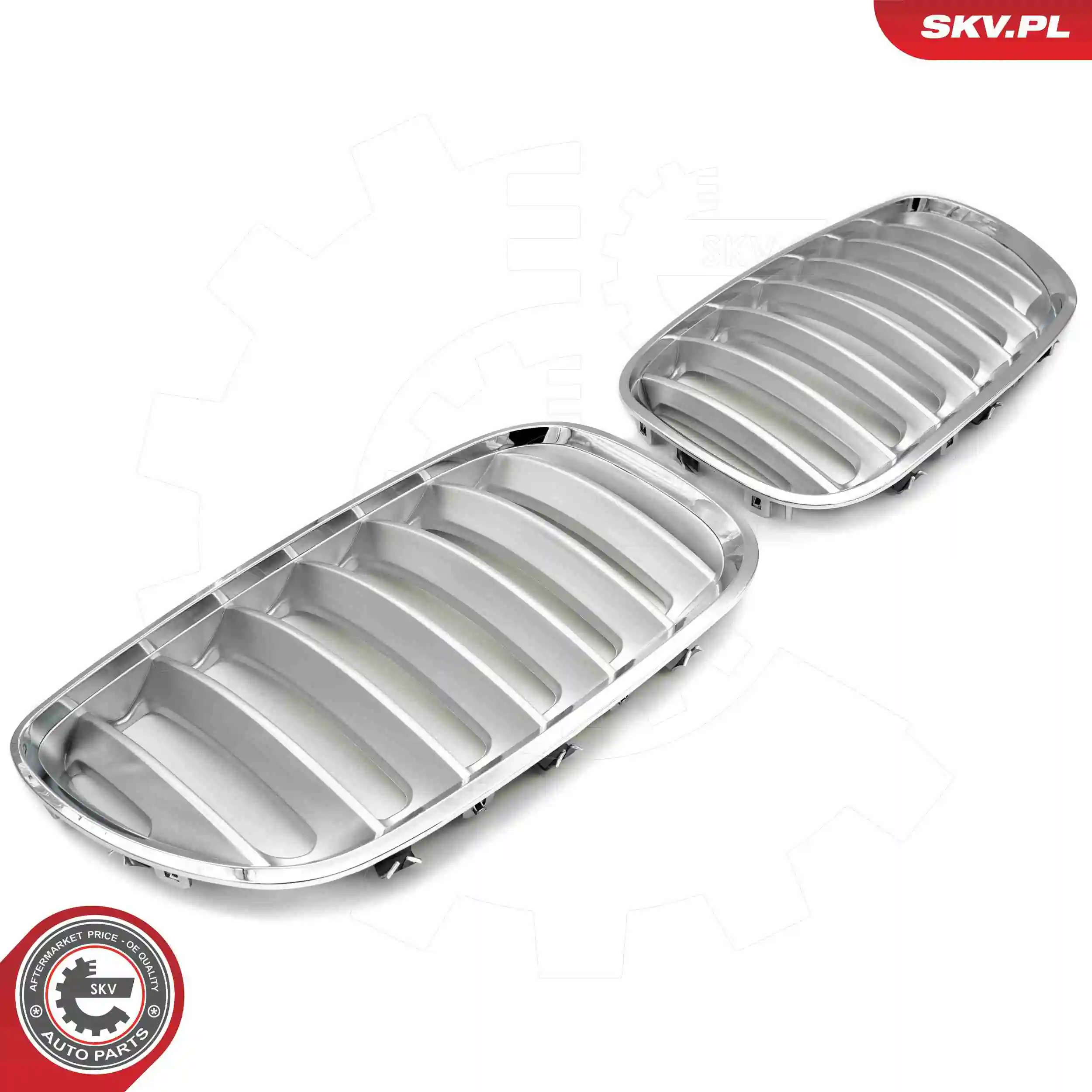ESEN SKV 66SKV279 Radiator Grille